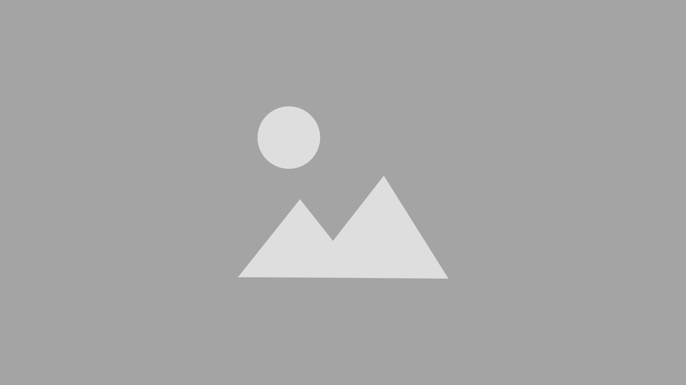 BASF_Online_Reporter_EN